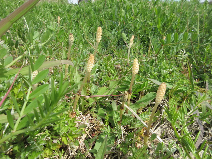 f0053885_2113310.jpg