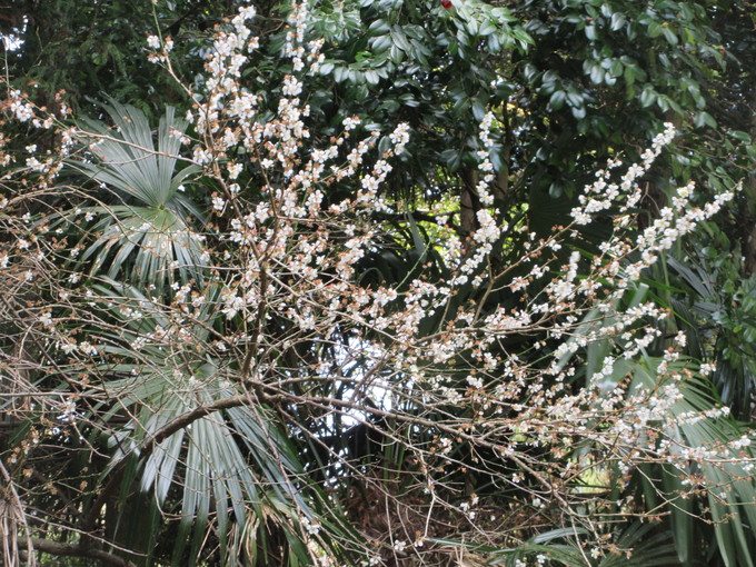 f0053885_505435.jpg