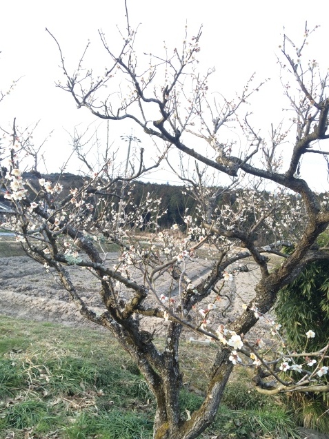 f0379286_19314071.jpeg