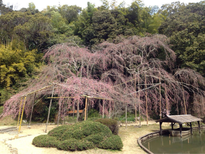 曹源寺_c0139090_16031791.jpg