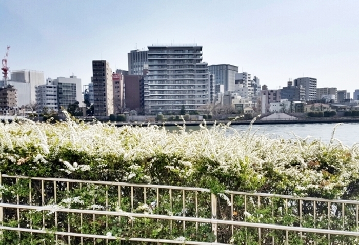a0344593_15081151.jpg