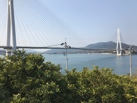 e0111793_20505550.jpg