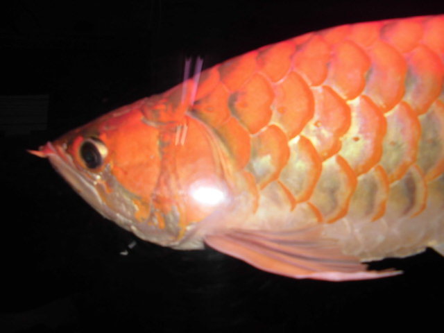 e0143096_13181495.jpg