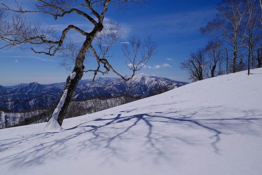  大苦戦の鳴尾山、2017.3.19_f0138096_10224893.jpg