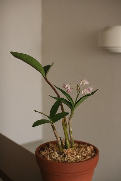 e0082098_08264117.jpg