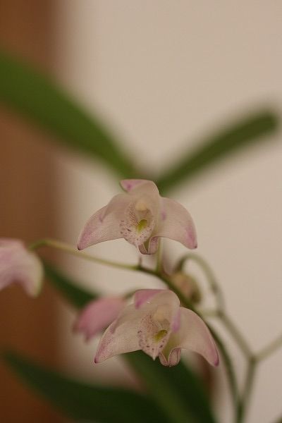 e0082098_08271452.jpg