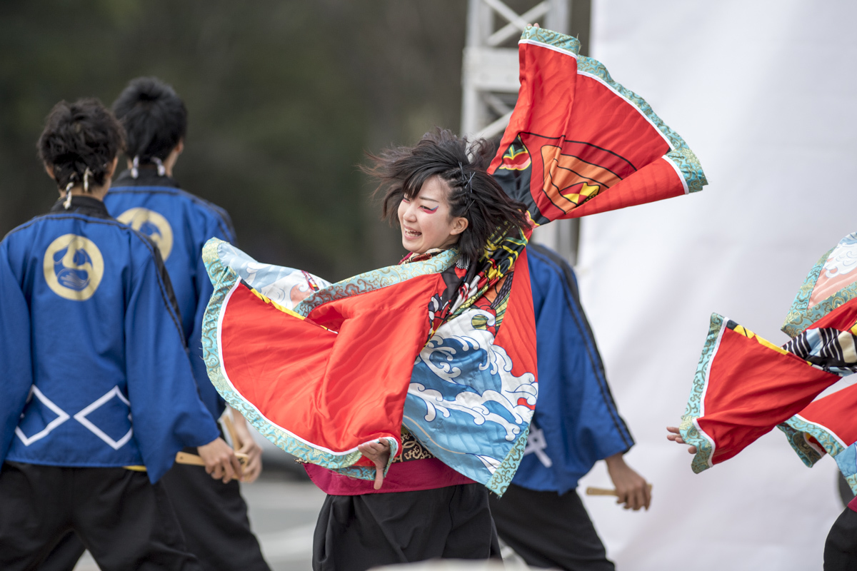 2017　浜松がんこ祭 浜松学生連　鰻陀羅_f0184198_22335322.jpg