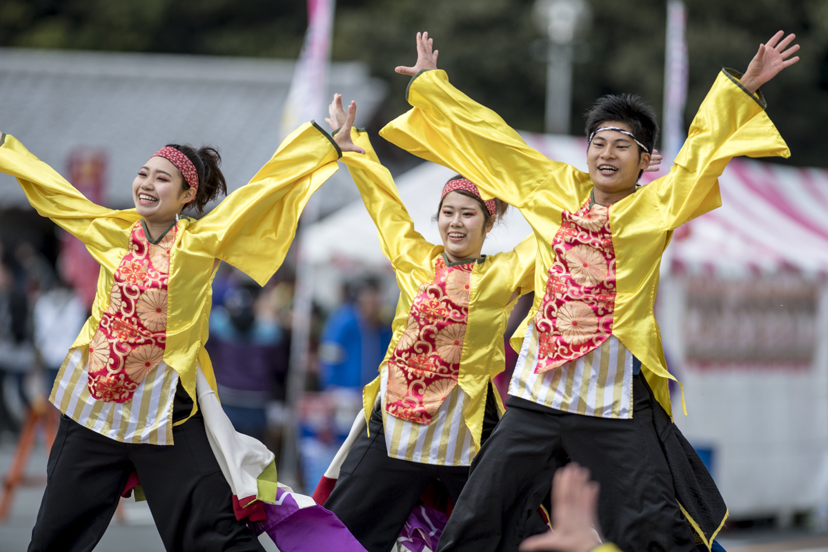 2017　浜松がんこ祭 浜松学生連　鰻陀羅_f0184198_22362155.jpg