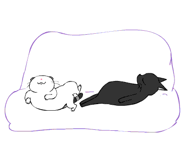 c0011300_23104997.gif