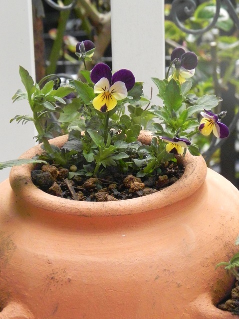 c0152002_10130532.jpg