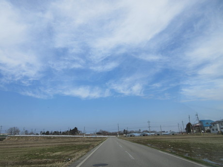 a0203003_2052079.jpg