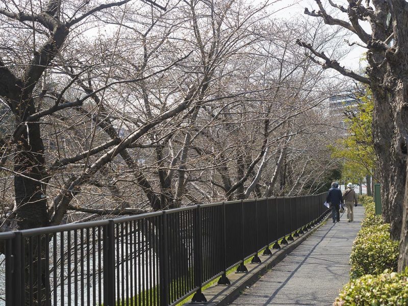 衣替え 3月25日(土) 5991_b0069507_07183549.jpg