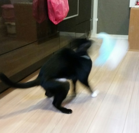 e0144012_16423553.jpeg