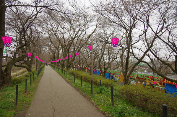 c0022113_15255911.jpg