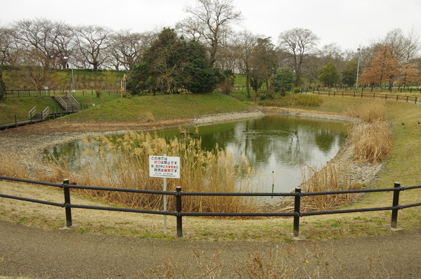 c0022113_15325699.jpg