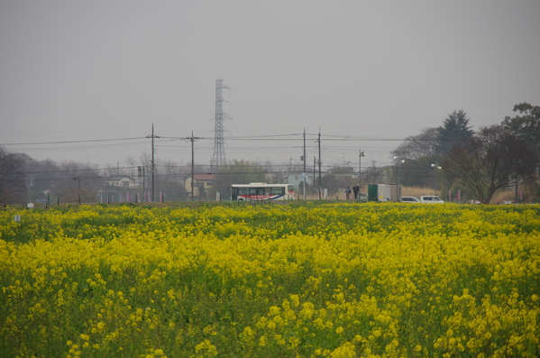 c0022113_15335986.jpg