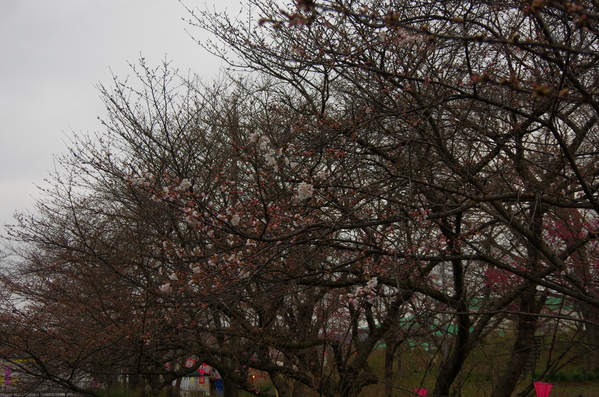 c0022113_15374666.jpg