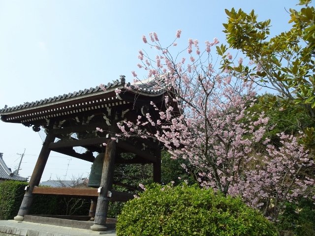 e0033713_19130834.jpg