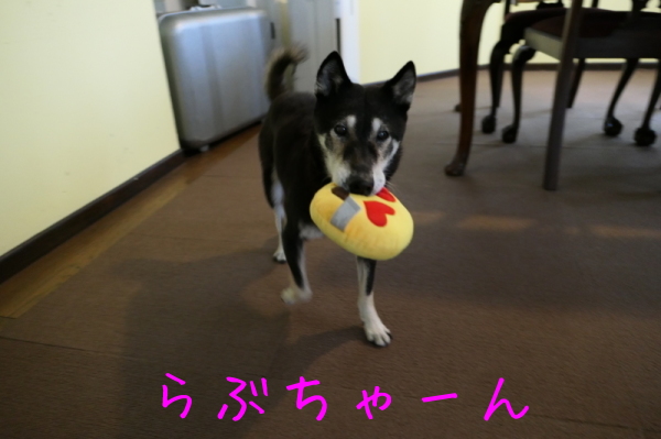 f0369014_12505536.jpg