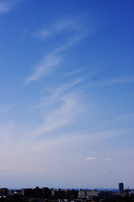 b0268615_11442987.jpg