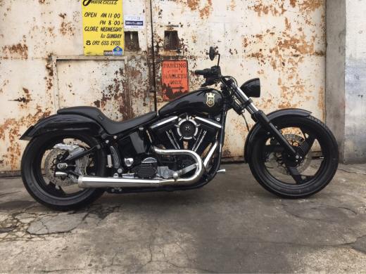 FXSTC 完成!!_a0110720_19571704.jpg