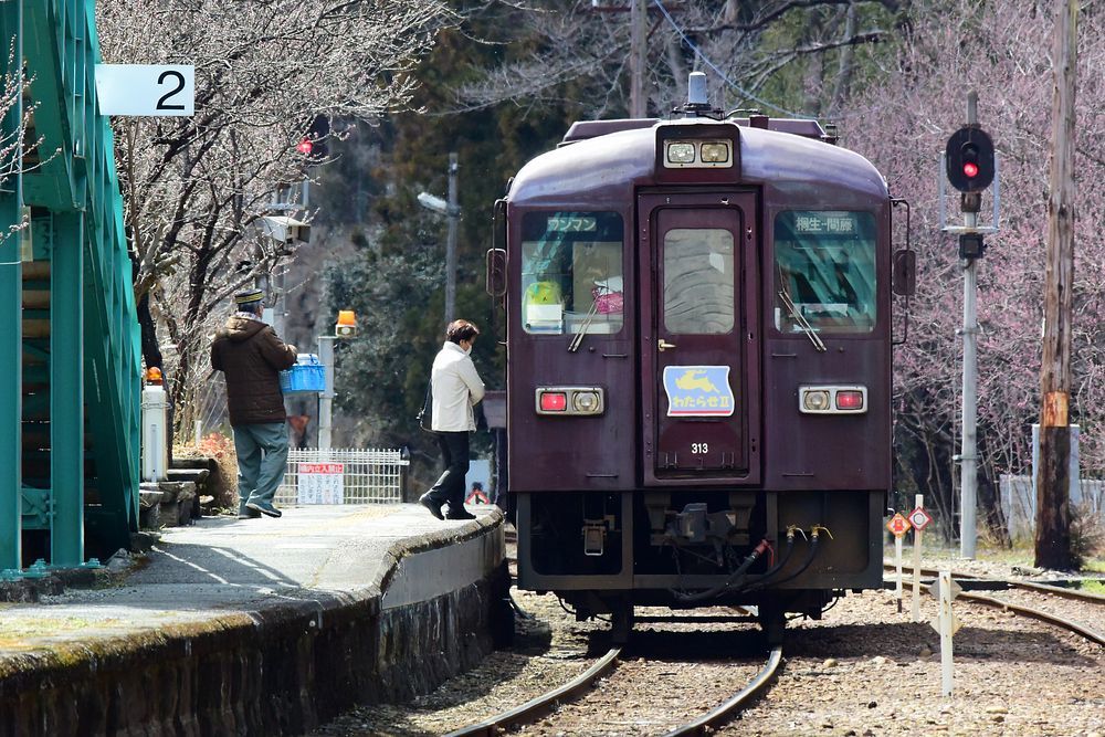 渡良瀬渓谷鐡道・・・ハナモモ未満(^-^;_a0031821_11082500.jpg