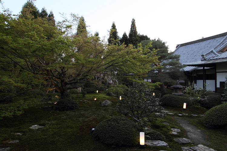 春の雲龍院（泉涌寺塔頭）（前編）_b0169330_10452656.jpg