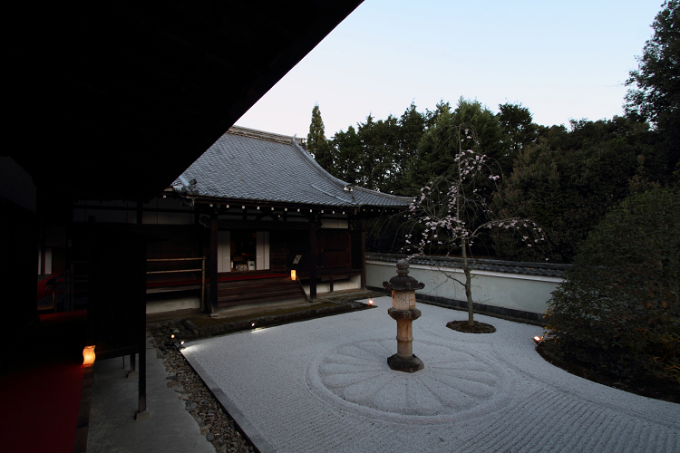 春の雲龍院（泉涌寺塔頭）（前編）_b0169330_14584657.jpg