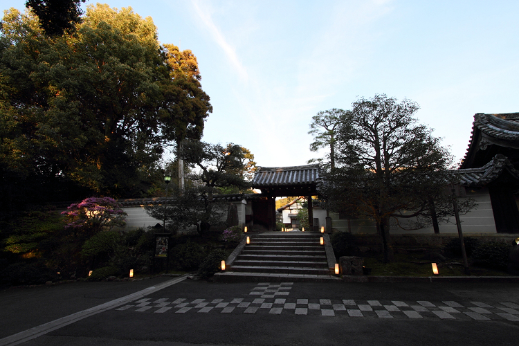 春の雲龍院（泉涌寺塔頭）（前編）_b0169330_827684.jpg