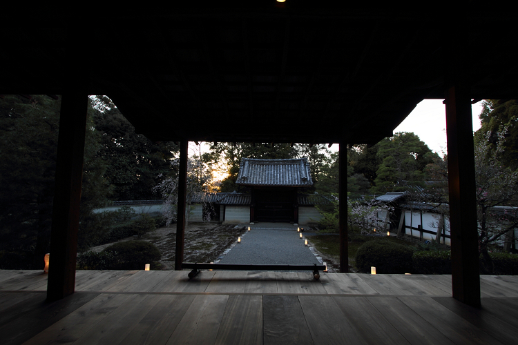 春の雲龍院（泉涌寺塔頭）（前編）_b0169330_953012.jpg