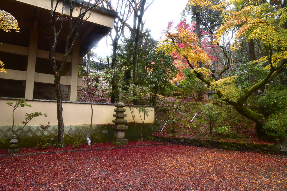 今熊野観音寺、散り紅葉_e0367330_4401362.jpg