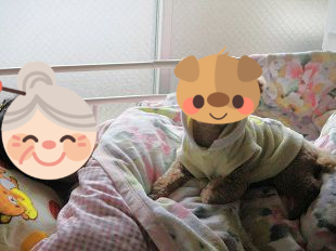 b0320131_16174421.png