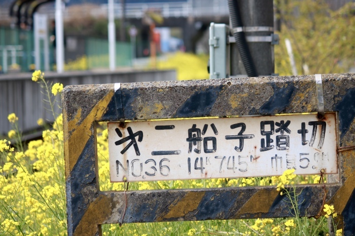 f0348831_12243126.jpg