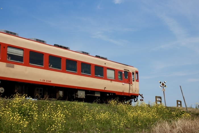 【第二五之町踏切】いすみ&小湊鉄道 part 2_f0348831_22133859.jpg