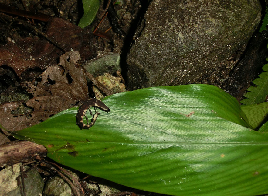 a0126632_14591352.jpg