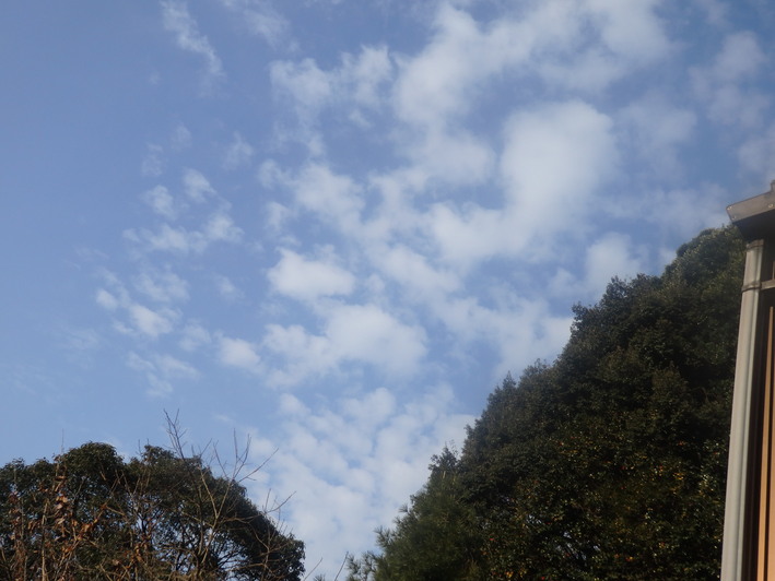 a0054240_20231387.jpg