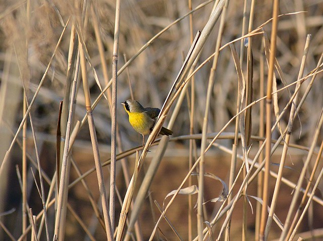 c0349842_20125084.jpg