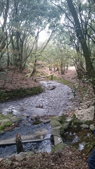c0185445_23474315.jpg