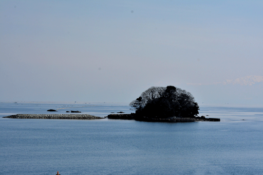 c0093046_8274780.gif