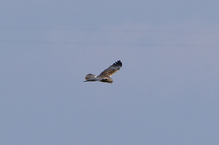 a0324247_04245521.jpg