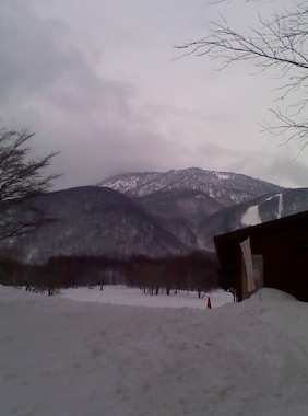 e0250250_16371596.png