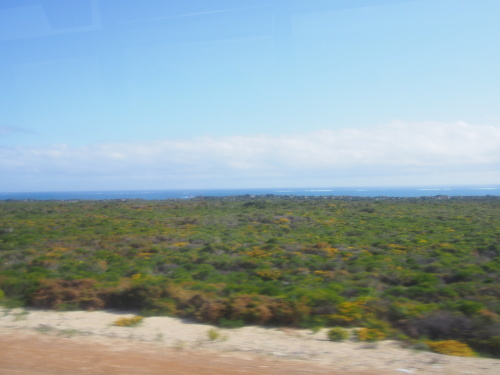 c0351060_16212450.jpg