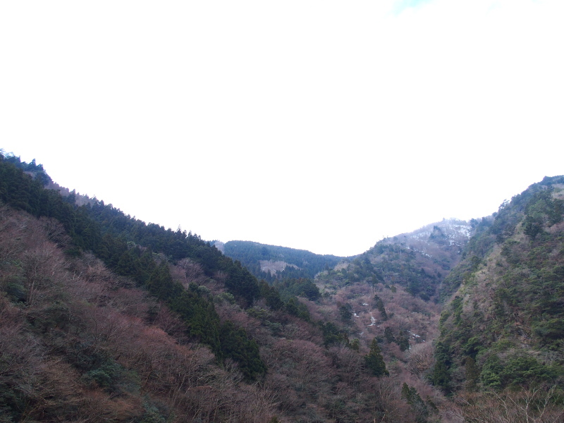 f0327061_19264026.jpg