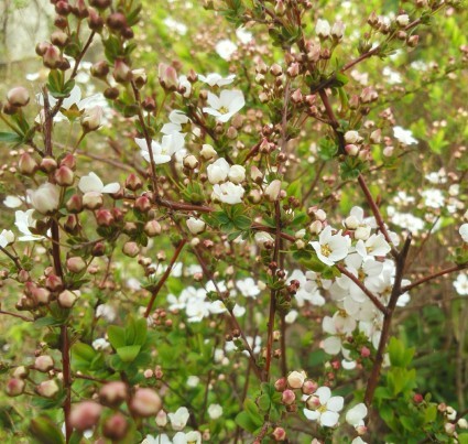 b0368362_23401814.jpg