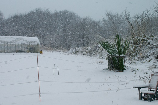 3月の雪、2回目。_c0110869_11334727.jpg