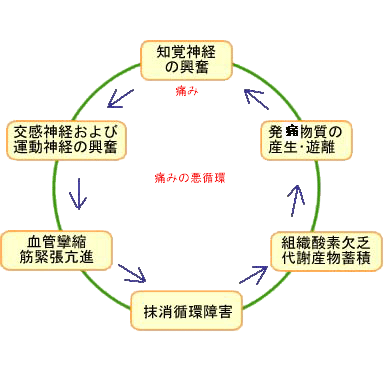 慢性痛の最新研究は脳科学_b0052170_18174729.gif