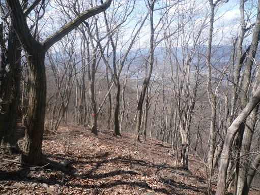 c0273271_1075145.jpg