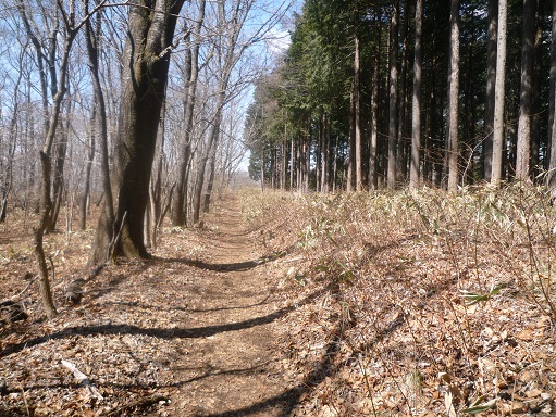 c0273271_959126.jpg