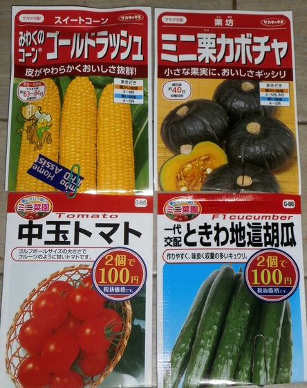 ふきのとうと春野菜の種まき_f0018078_18445048.jpg