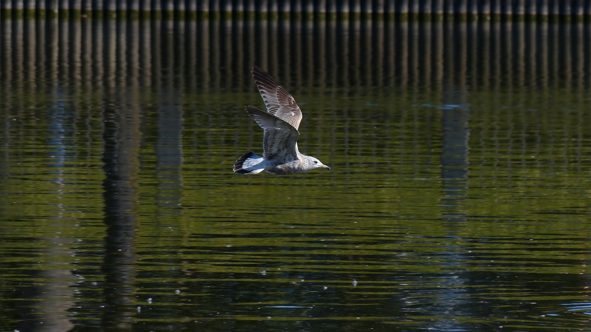 a0185081_13254138.jpg